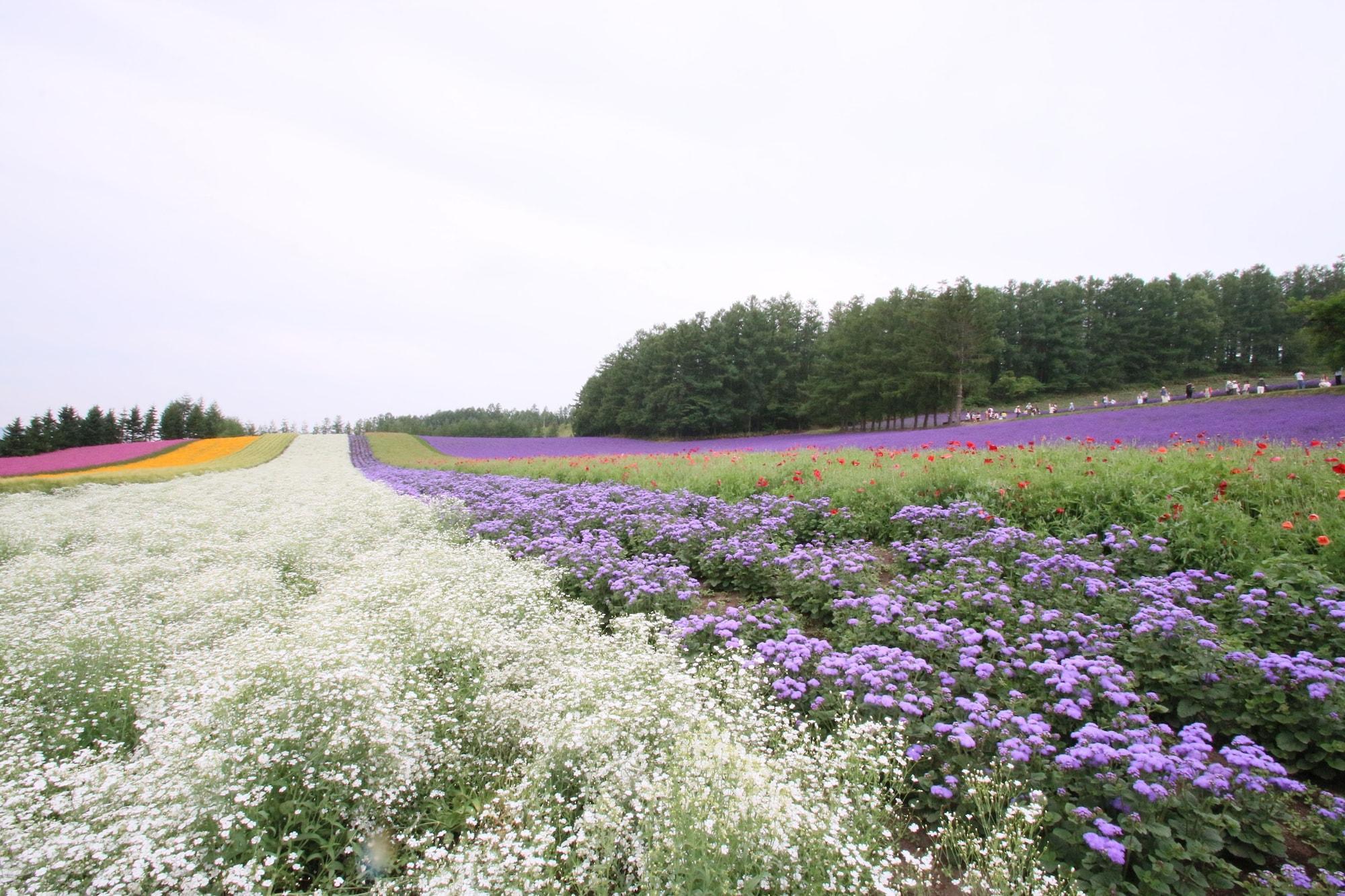Hotel Furano Shiyuirin Kamifurano Zewnętrze zdjęcie
