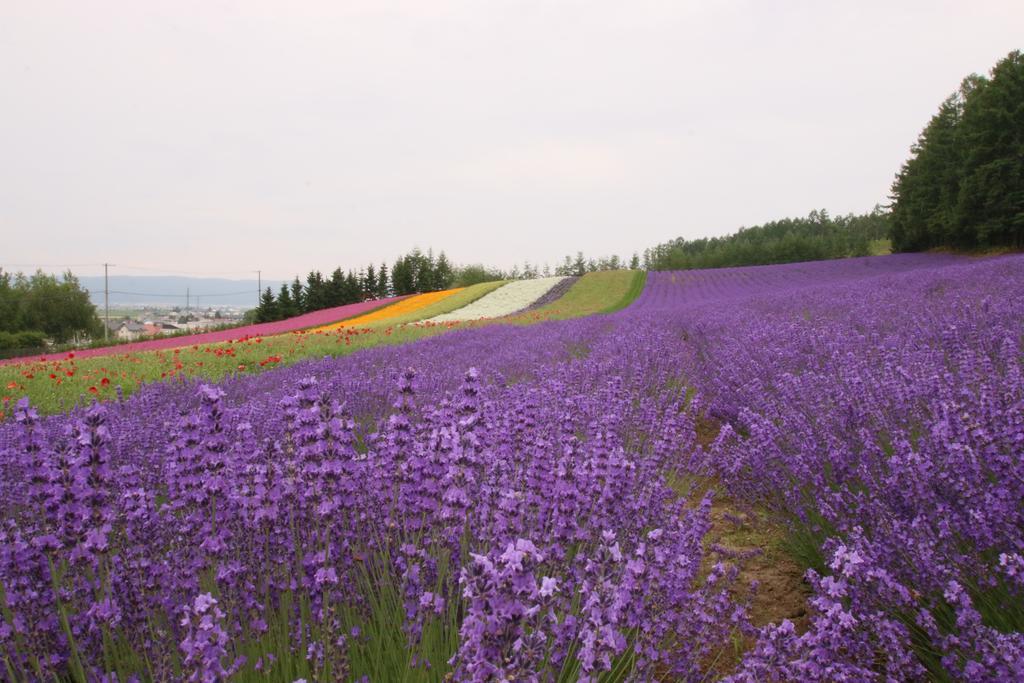 Hotel Furano Shiyuirin Kamifurano Zewnętrze zdjęcie