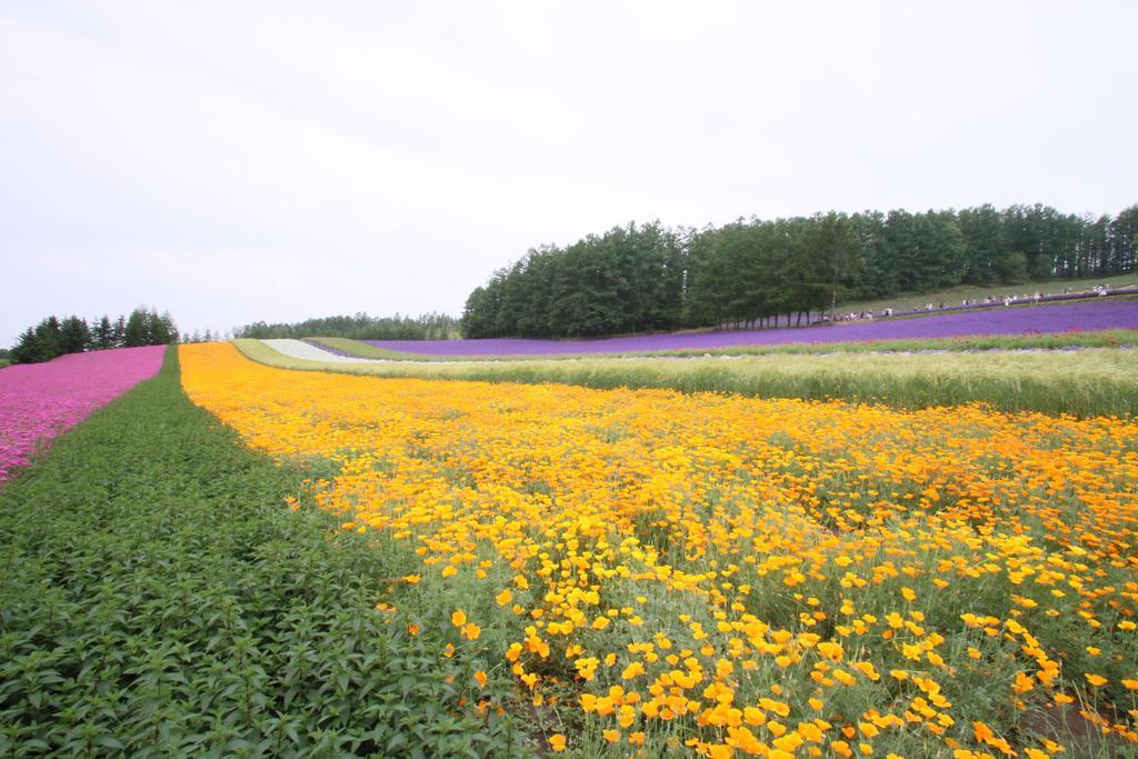 Hotel Furano Shiyuirin Kamifurano Zewnętrze zdjęcie